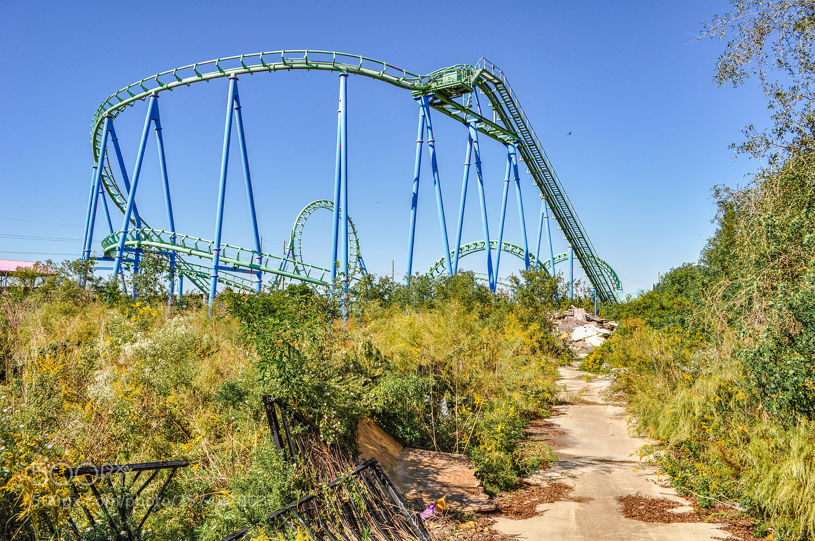 Nikon D5000 sample photo. Six flags - roller photography