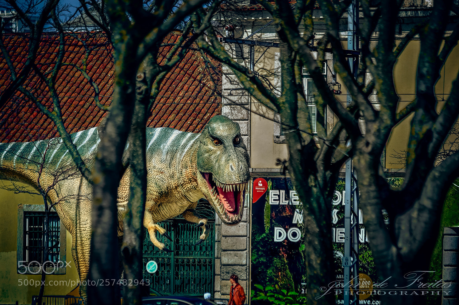 Canon EOS 5D Mark II sample photo. T-rex photography
