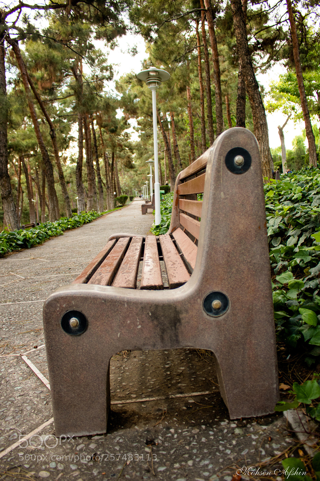 Canon EOS 77D (EOS 9000D / EOS 770D) sample photo. Take a seat photography