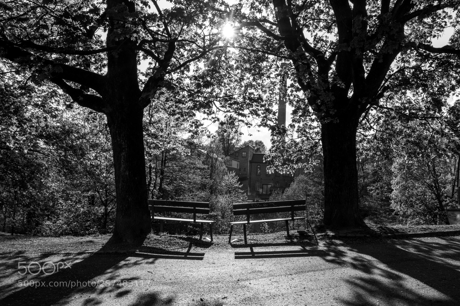 Fujifilm X-T20 sample photo. Untitled photography