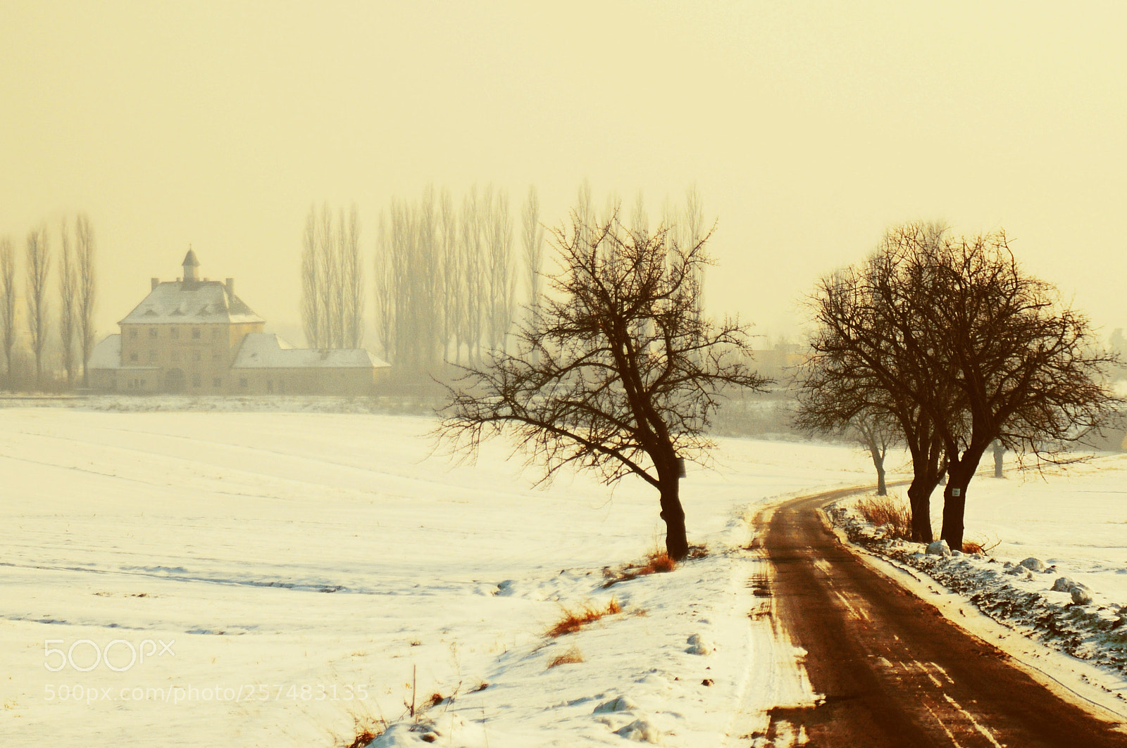 Nikon D300S sample photo. Untitled photography
