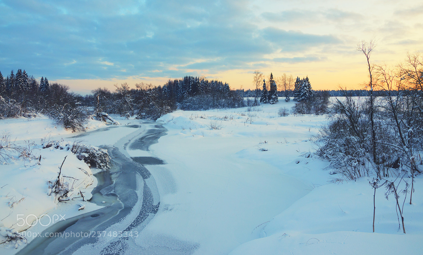 Nikon D5100 sample photo. Ice-bound forest river photography