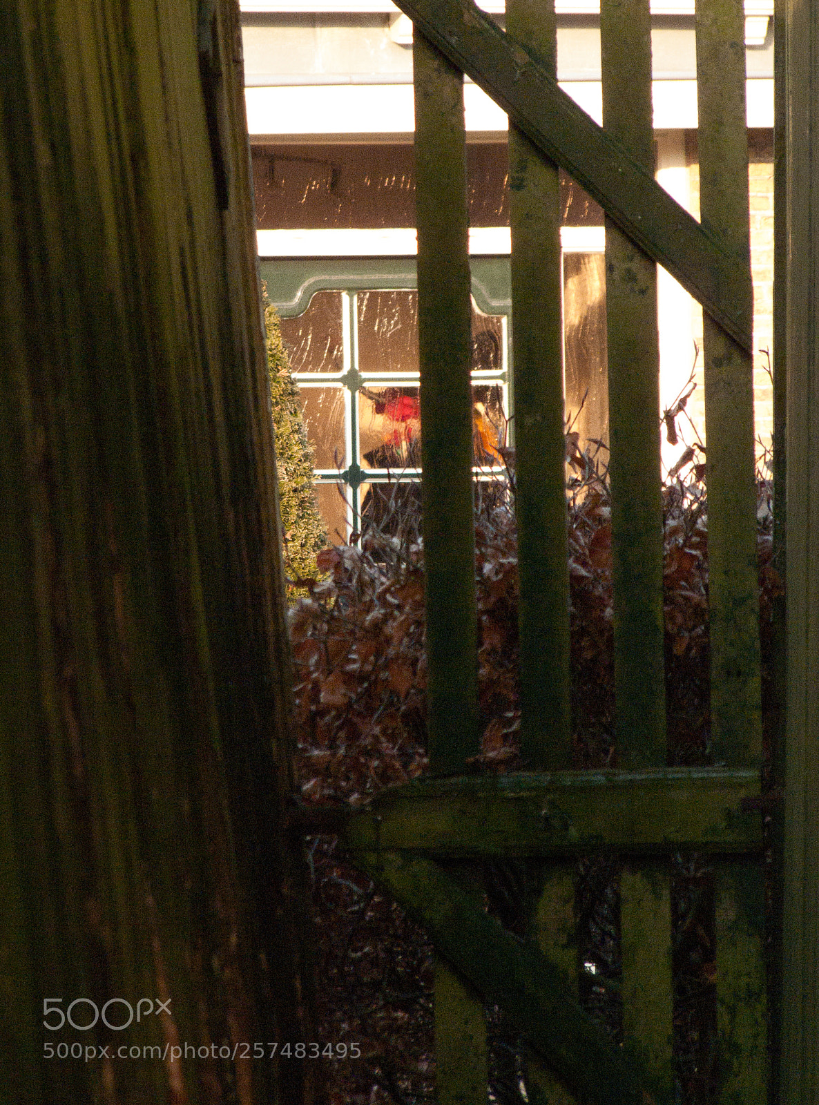 Panasonic Lumix DMC-FZ28 sample photo. Look through.. photography