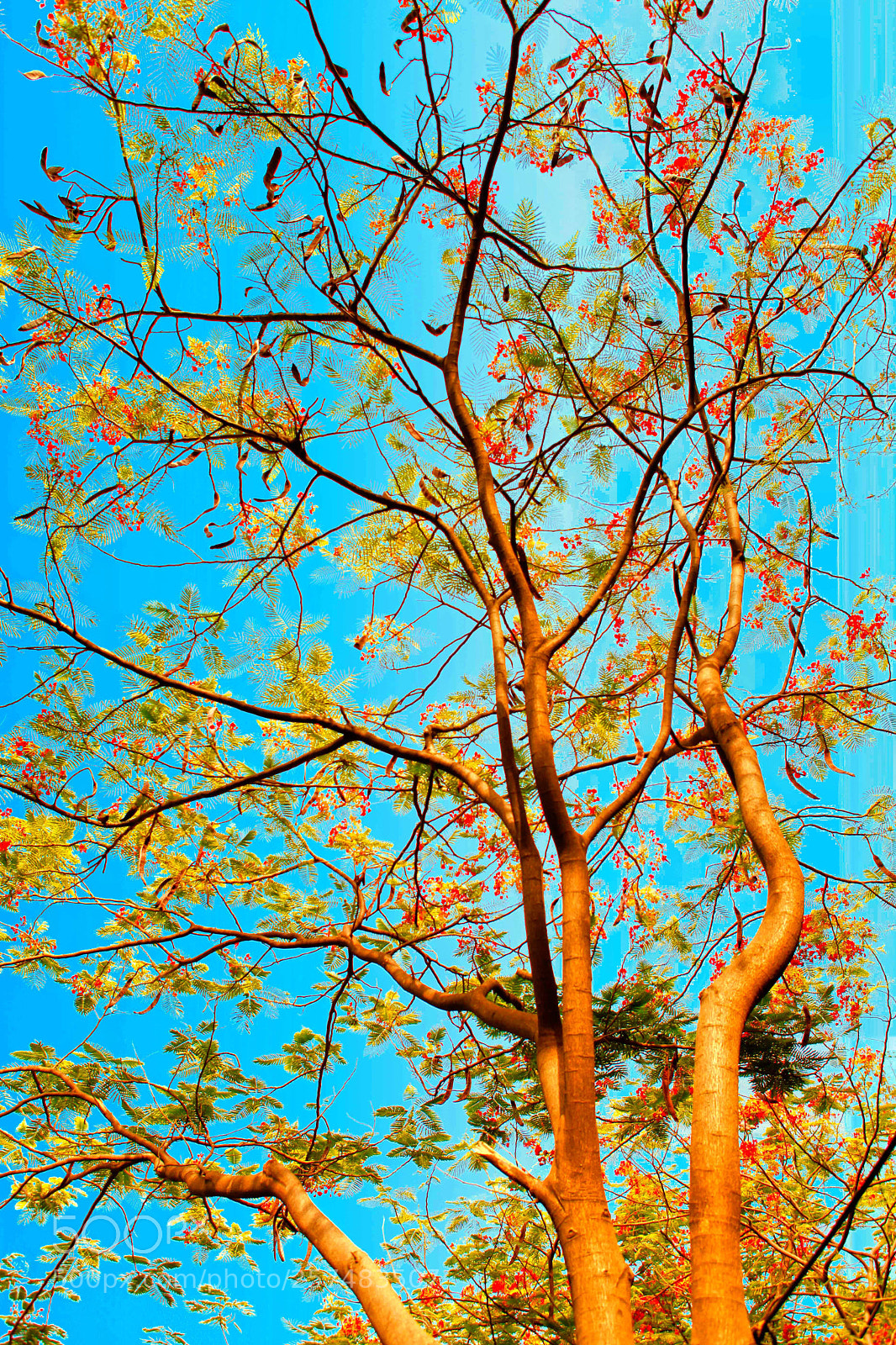 Canon EOS 5D Mark II sample photo. Spring time photography