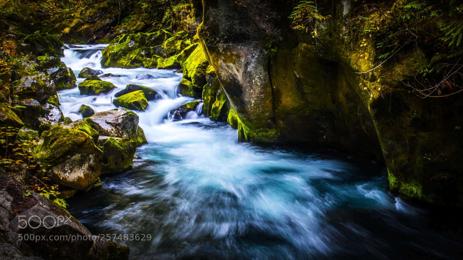 Canon EOS M3 sample photo. Toketee falls photography