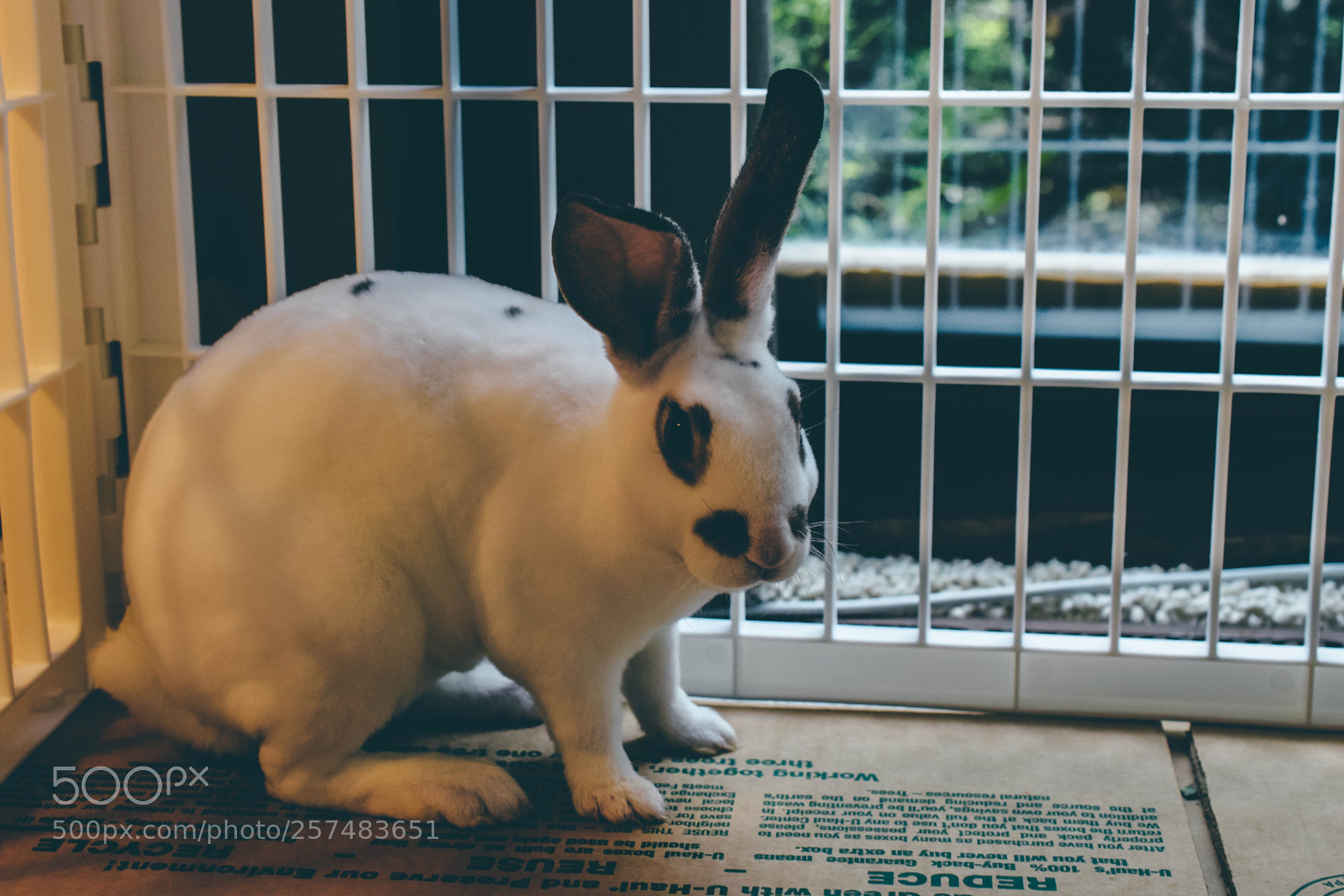 Nikon D3300 sample photo. Dovs photography