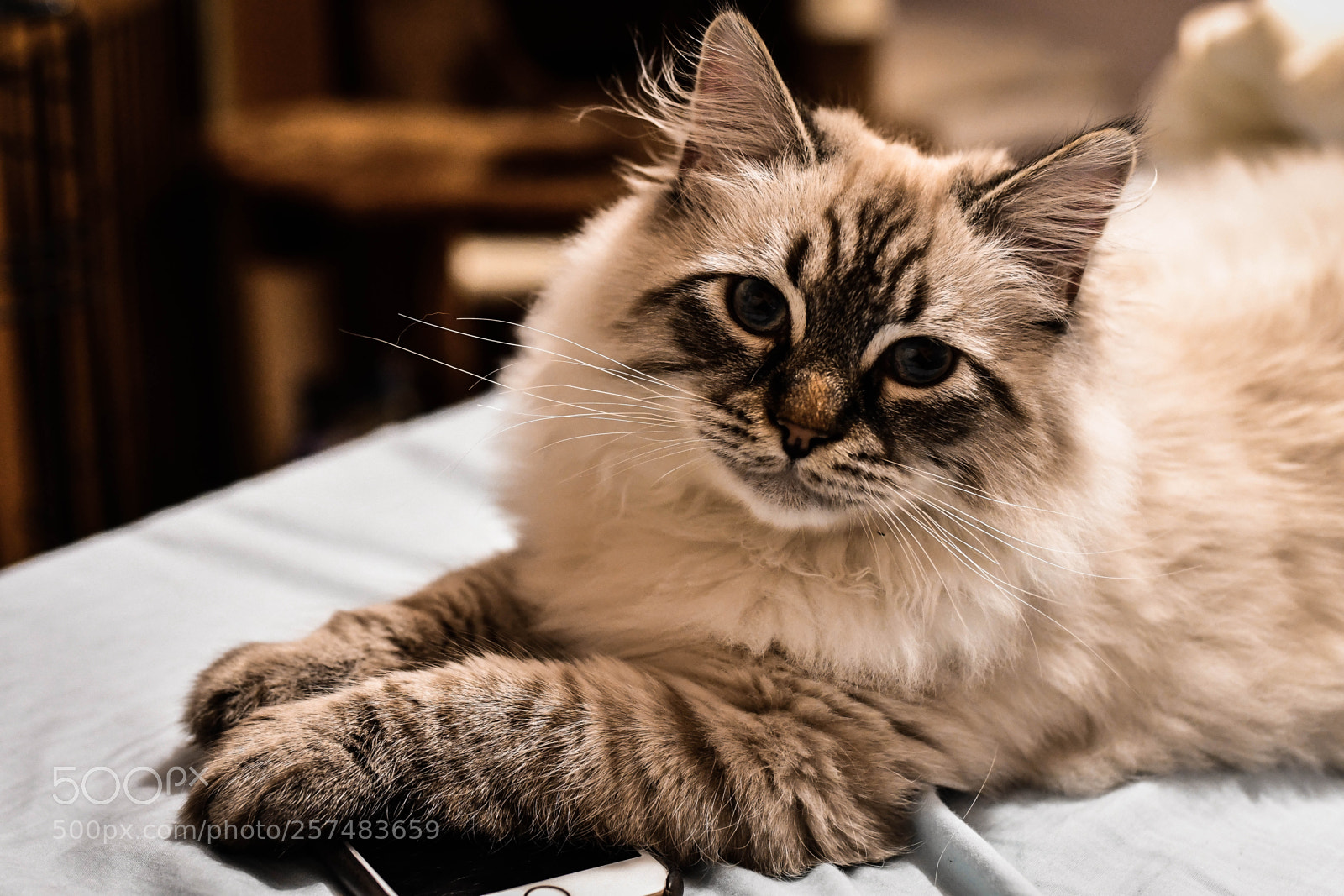 Nikon D7500 sample photo. Dsc photography