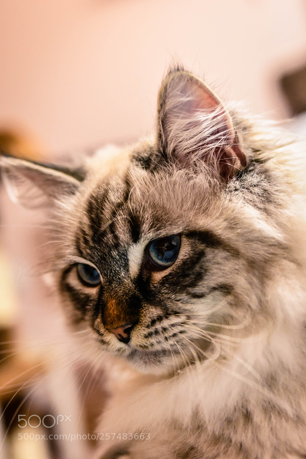 Nikon D7500 sample photo. Dsc photography