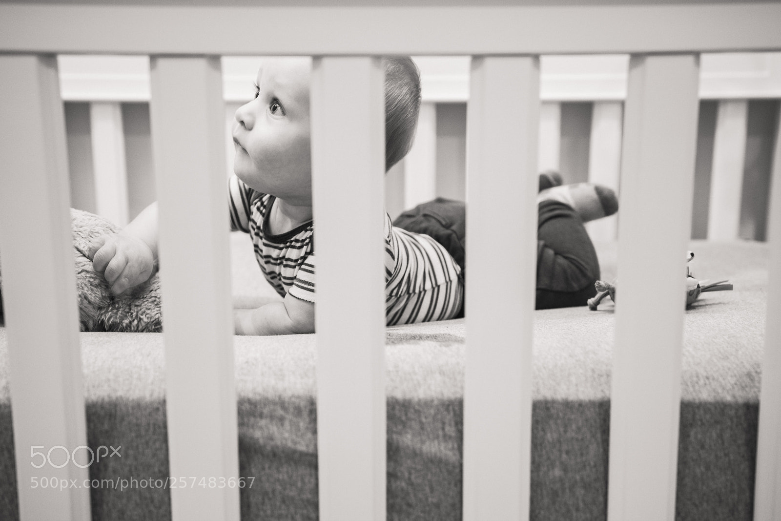 Sony a7R III sample photo. Curiosity photography