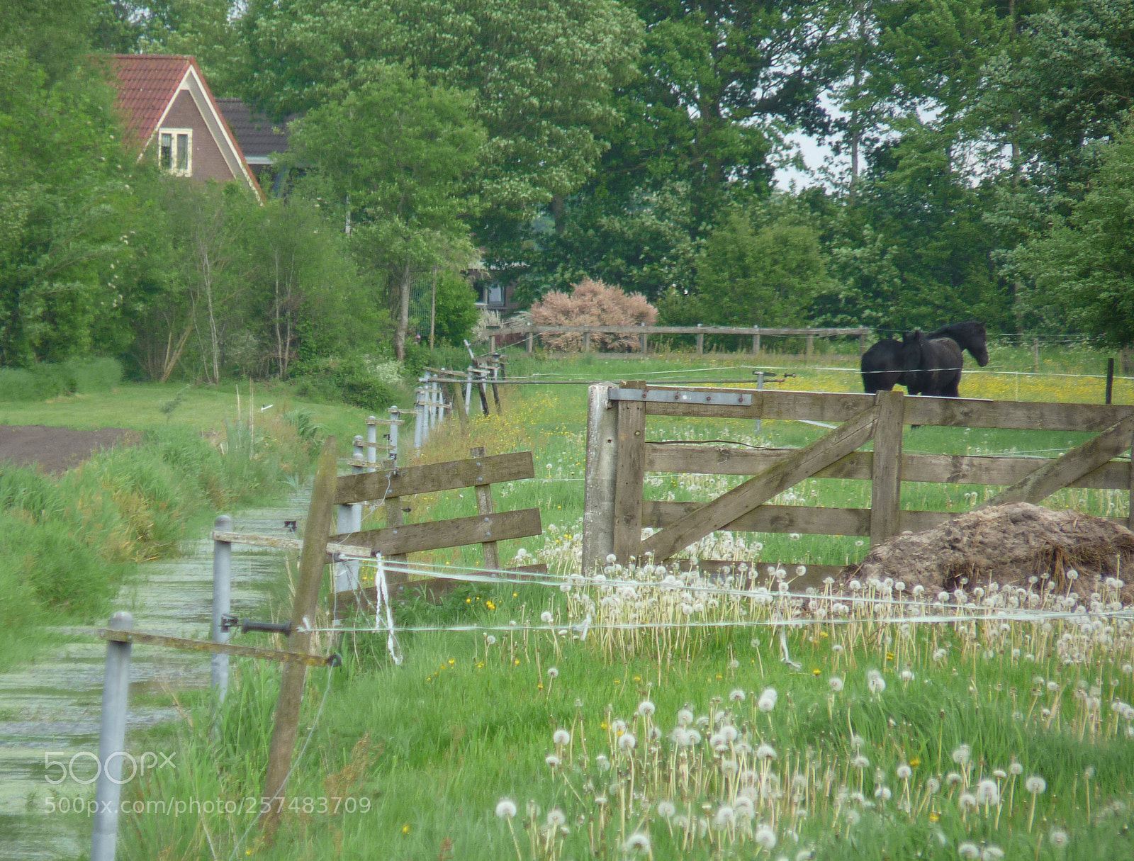 Panasonic Lumix DMC-FZ28 sample photo. Spring photography