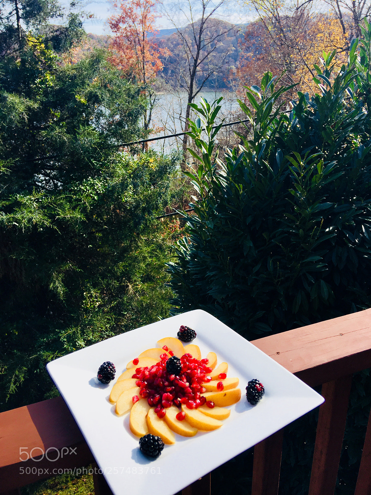 Apple iPhone 6s Plus sample photo. Pomegranate, asian pear photography