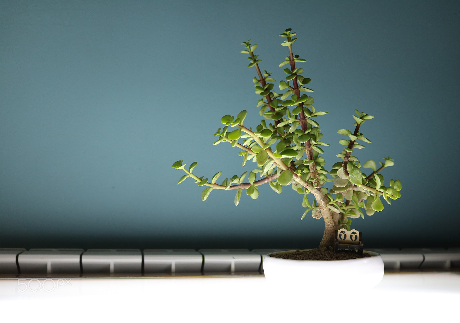 Canon EOS 750D (EOS Rebel T6i / EOS Kiss X8i) sample photo. Light desk photography