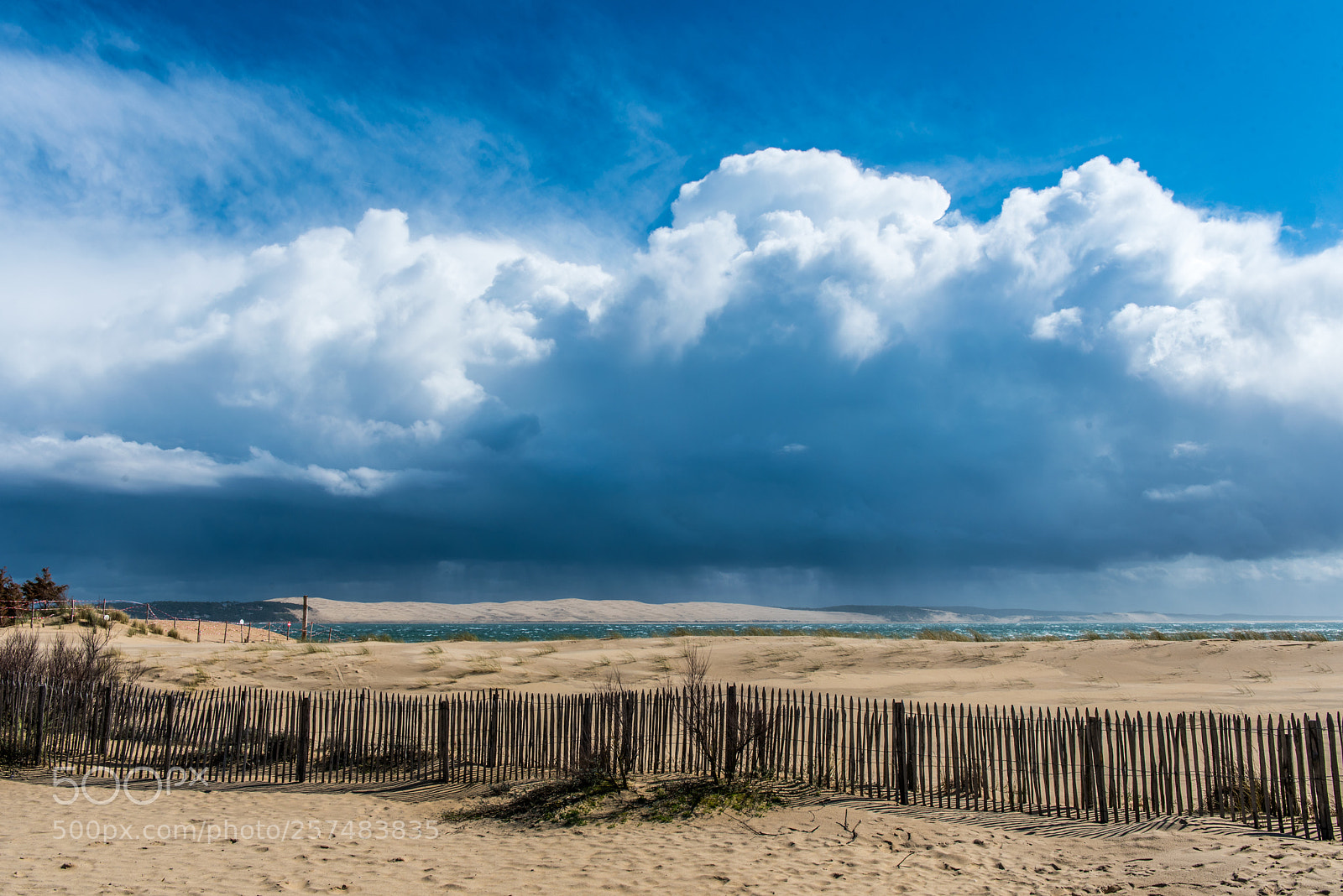 Nikon D750 sample photo. Plage photography