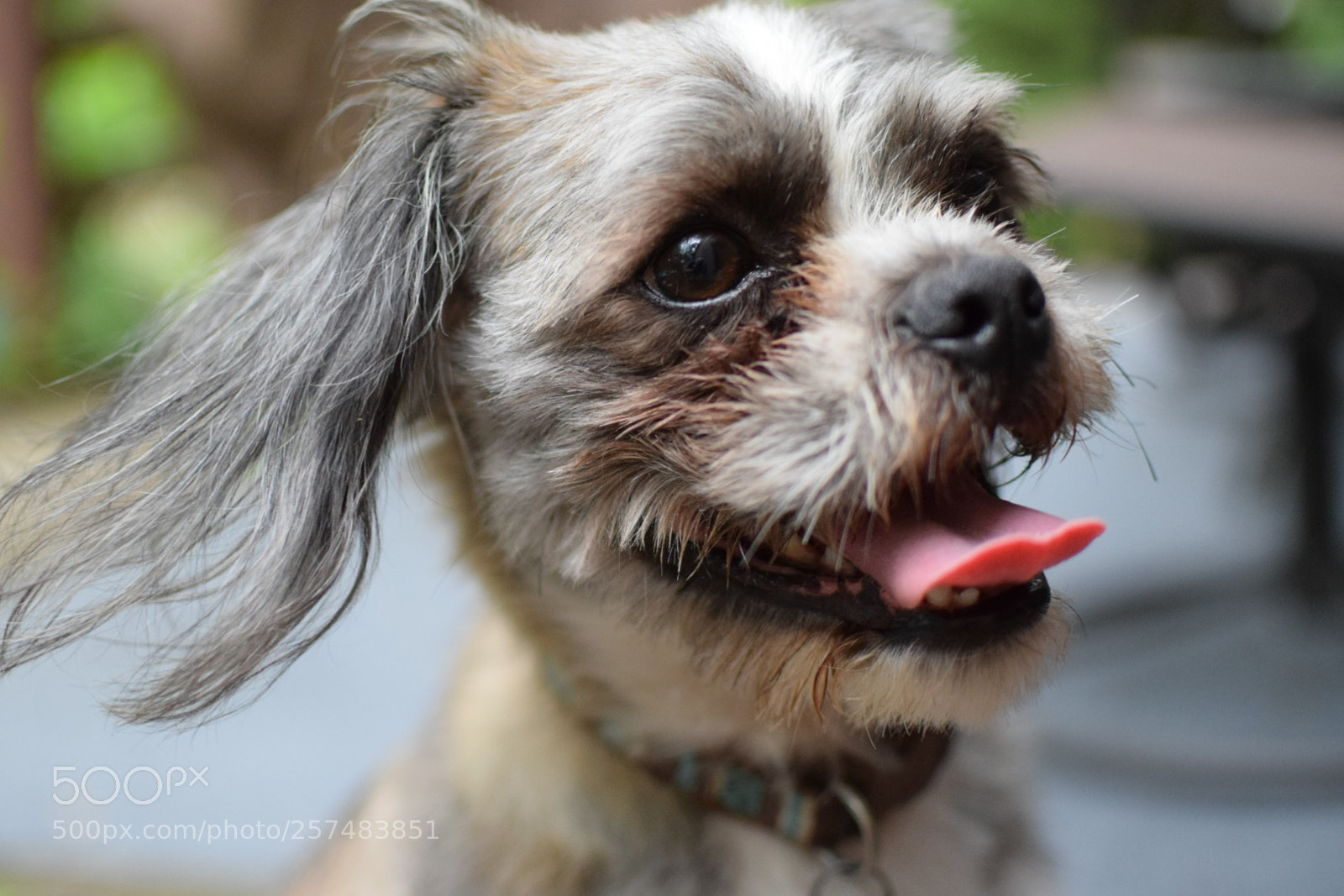 Nikon D3300 sample photo. Img photography