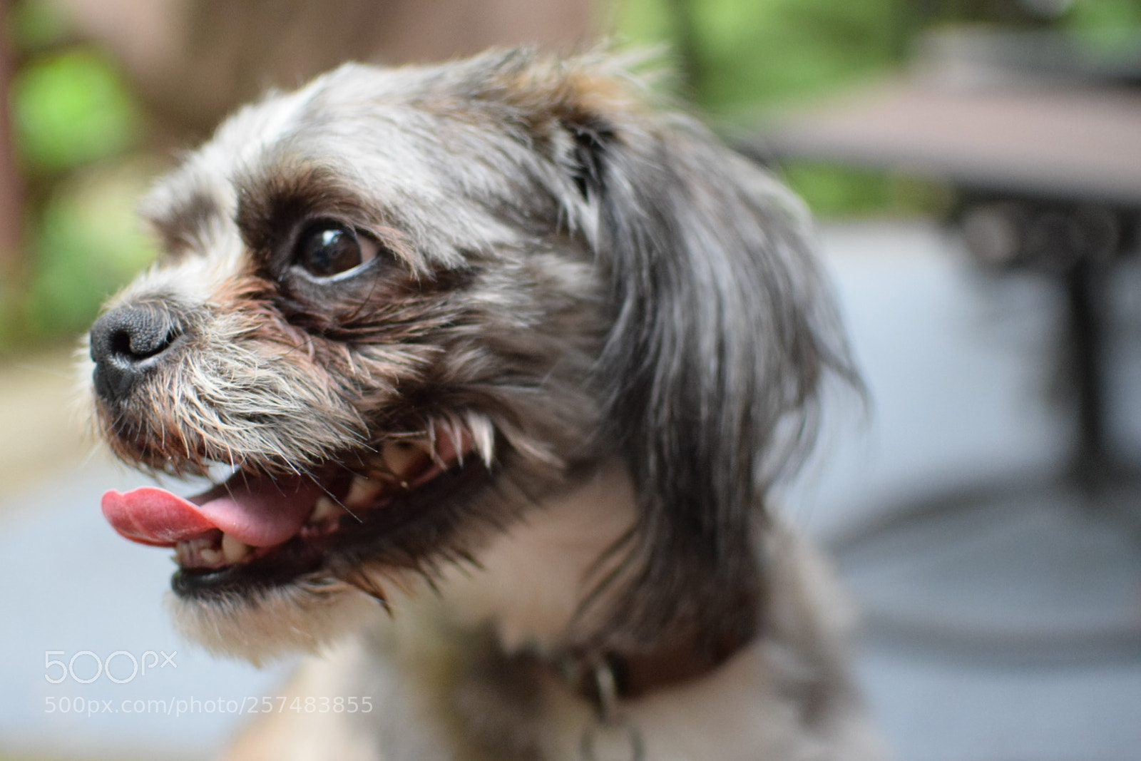 Nikon D3300 sample photo. Img photography