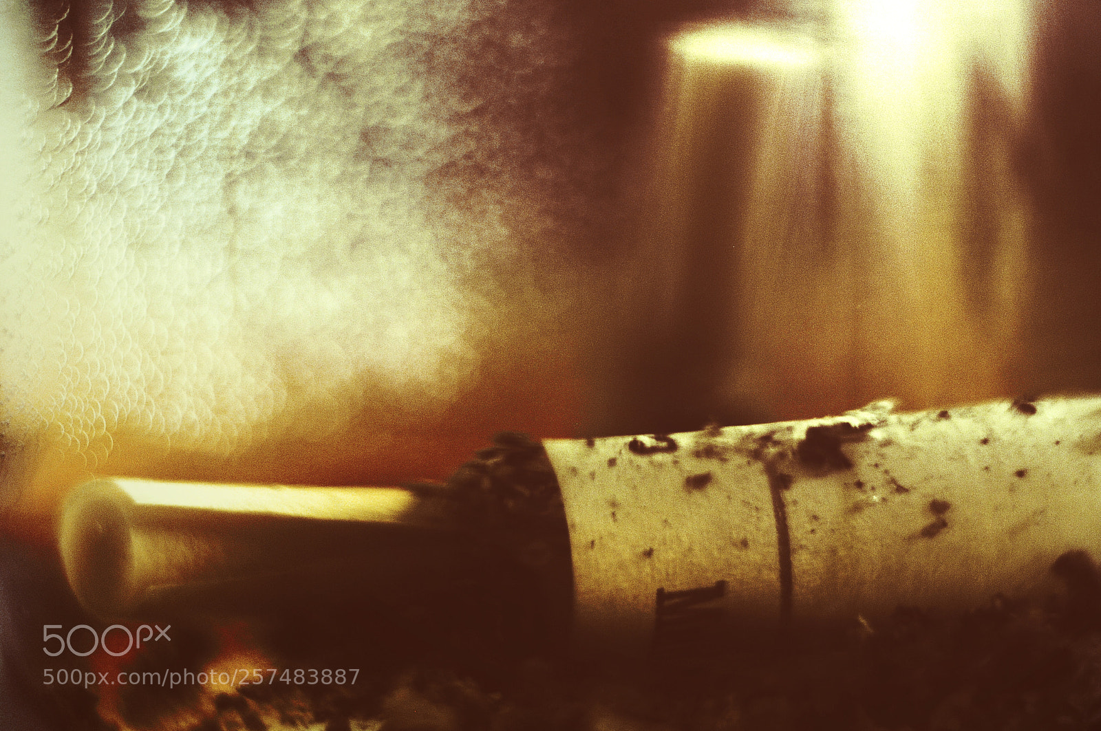Nikon D300S sample photo. Untitled photography