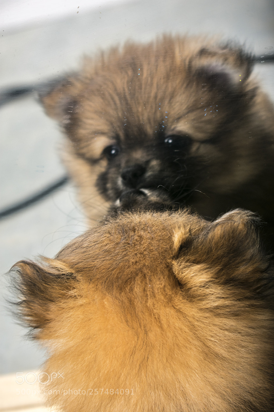 Nikon D3400 sample photo. Emotion photography