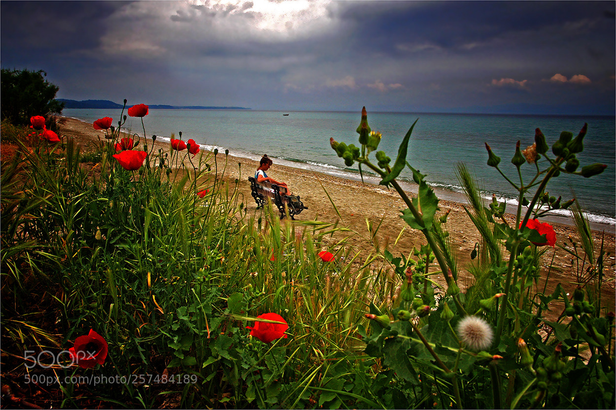 Canon EOS 40D sample photo. Late spring photography