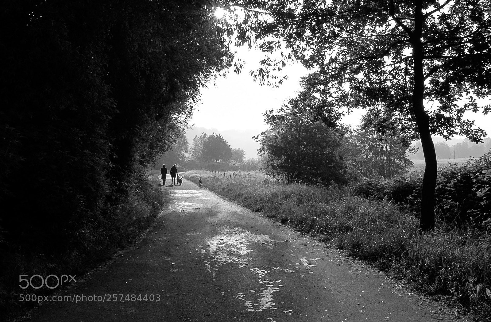 Fujifilm X-T1 sample photo. Saarner ruhrauen m lheim photography