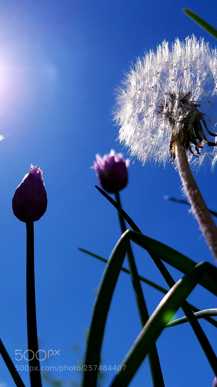 Samsung Galaxy S8 sample photo. Blue sky photography