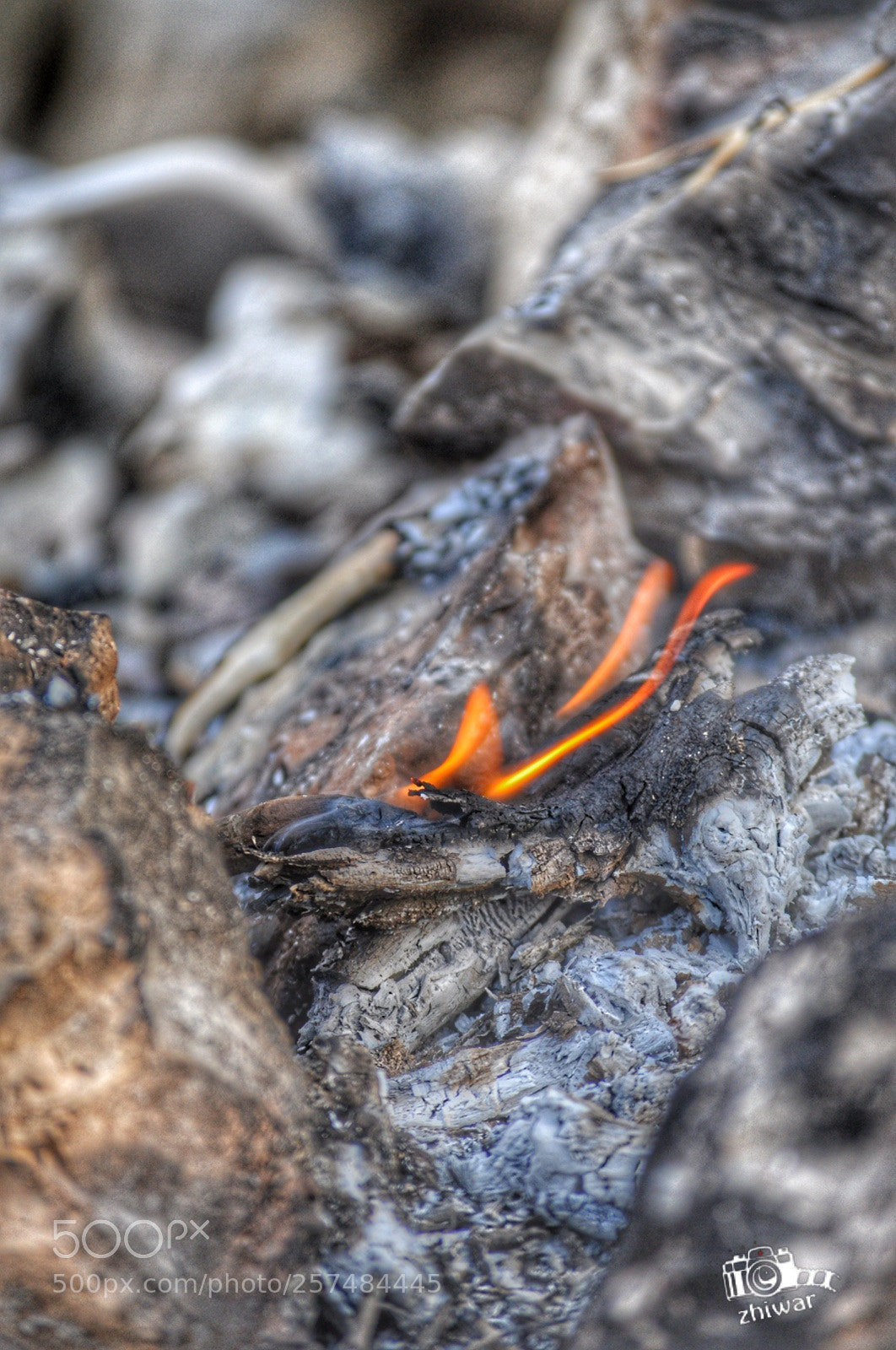 Nikon D5000 sample photo. Untitled photography