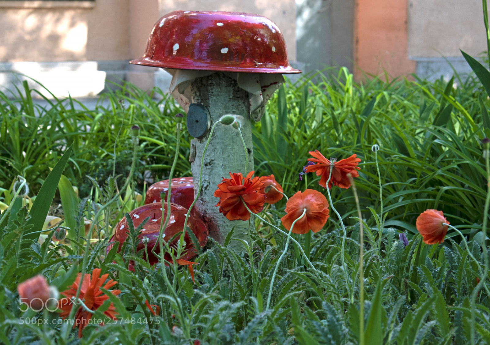 Nikon D5600 sample photo. Ейские дворики photography