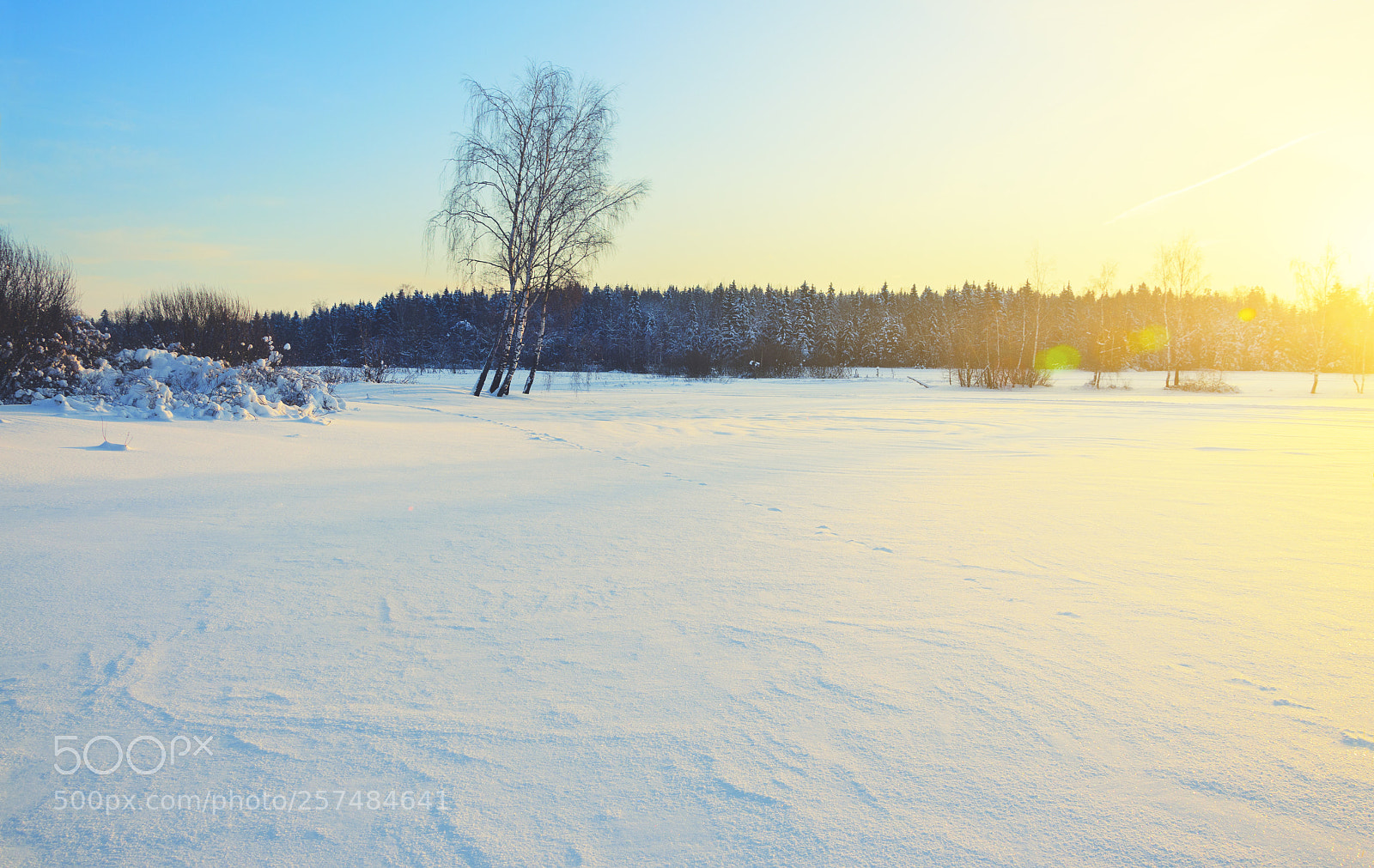 Nikon D5100 sample photo. Winter morning photography