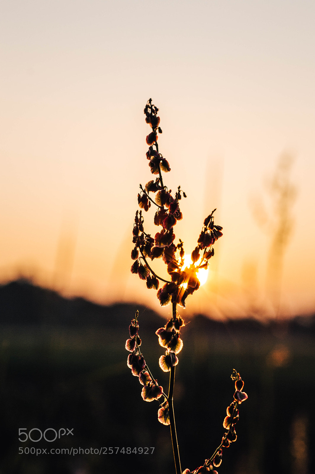 Nikon D3200 sample photo. Goodbye friday photography