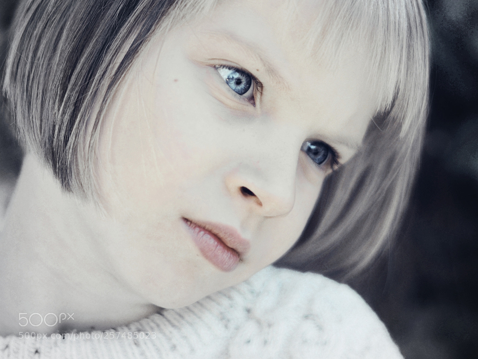 Nikon D300S sample photo. N photography
