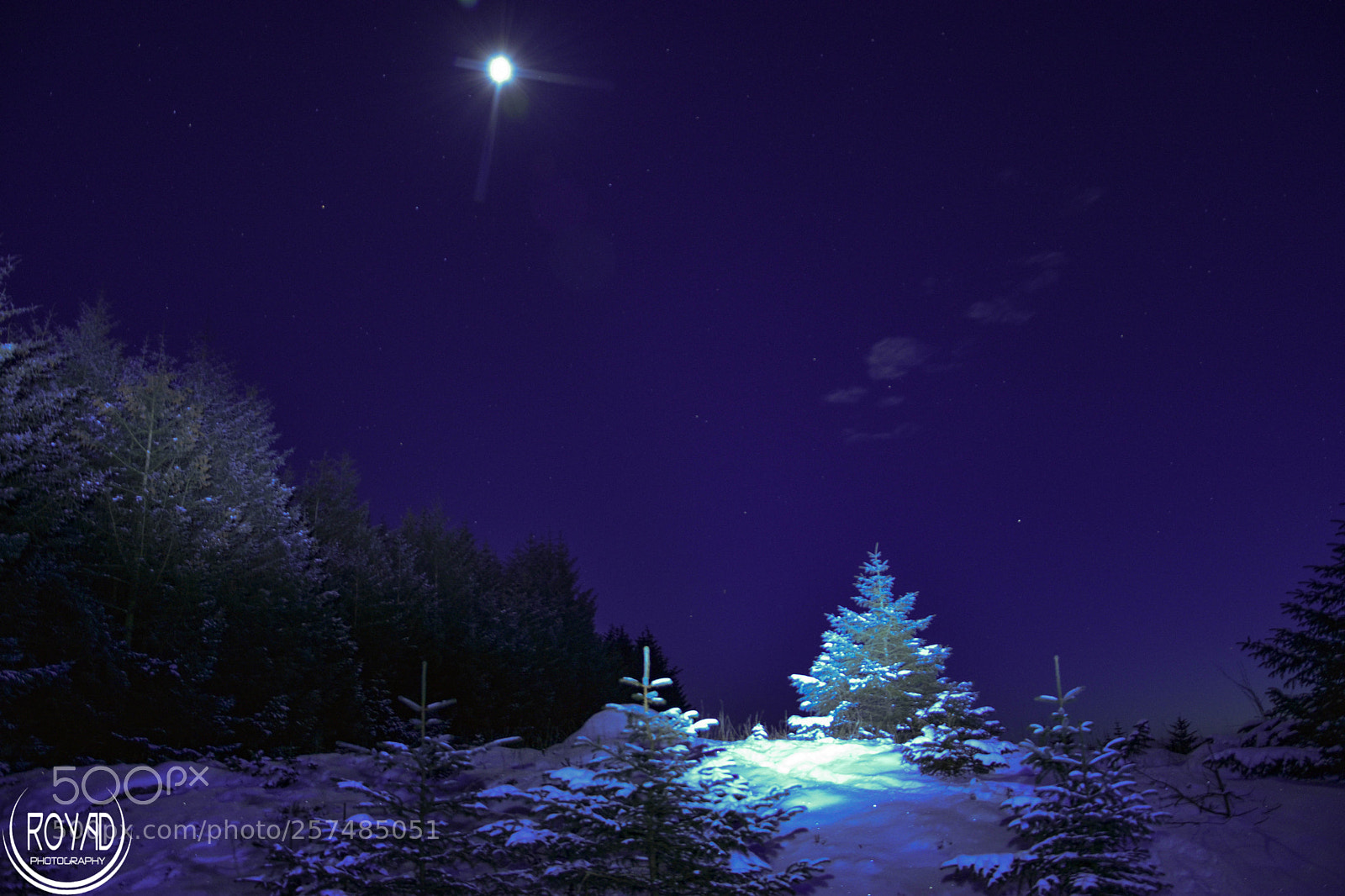 Nikon D7200 sample photo. Winter photography