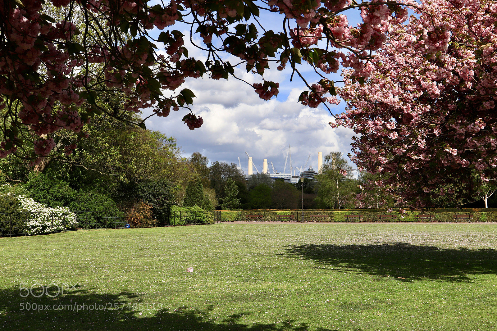 Canon EOS 800D (EOS Rebel T7i / EOS Kiss X9i) sample photo. Battersea power station photography
