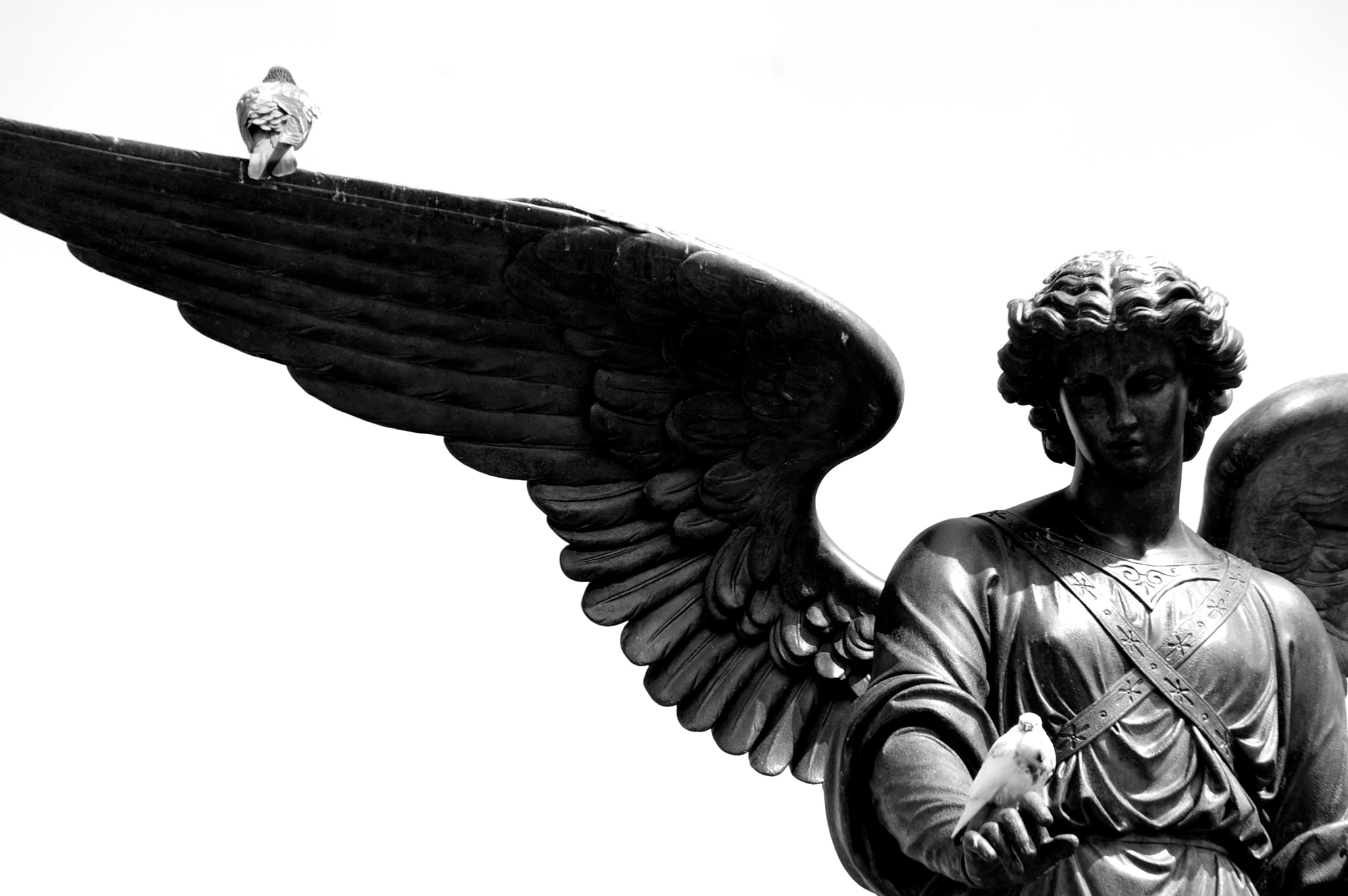 Pentax K110D sample photo. Angel photography