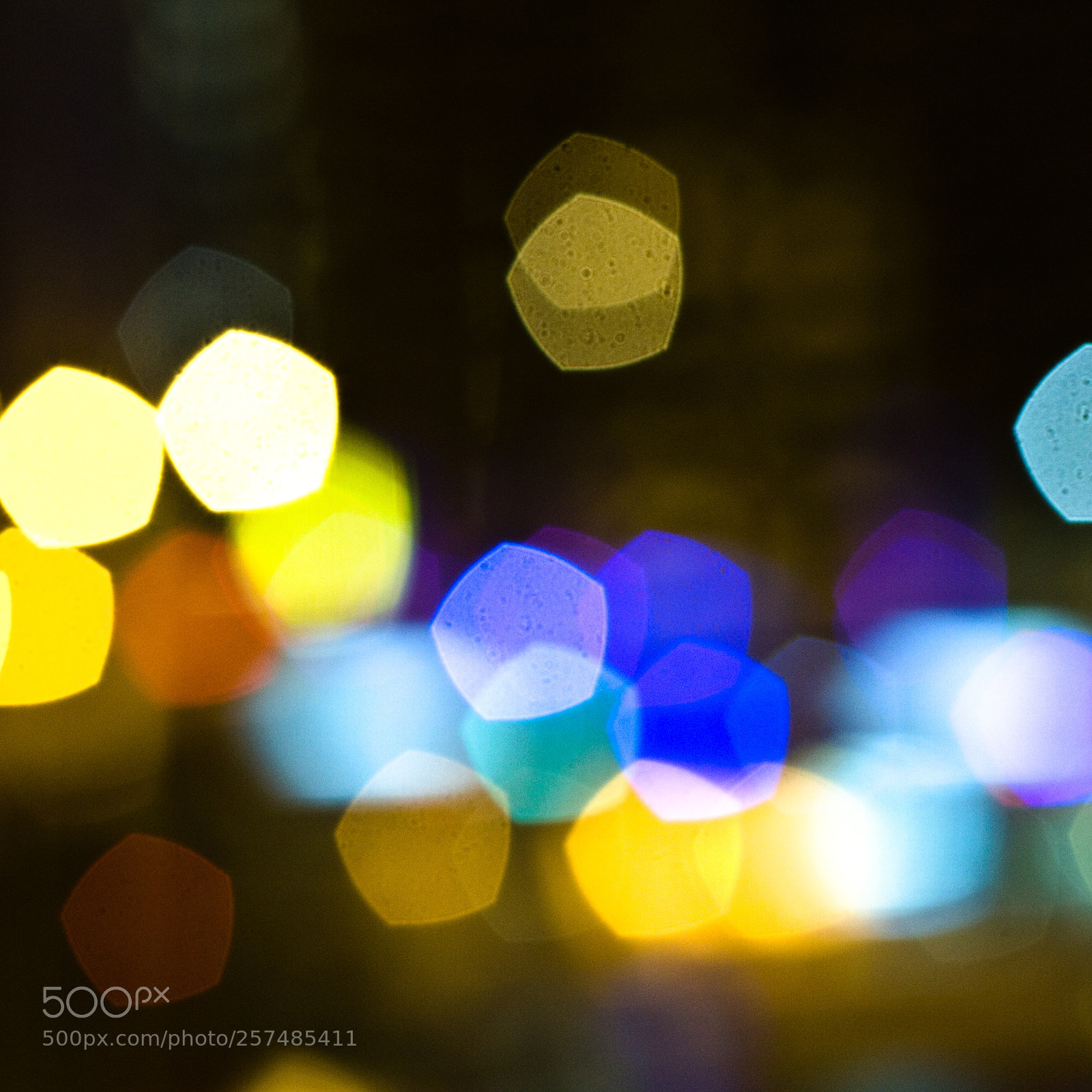 Canon EOS 40D sample photo. Bokeh photography