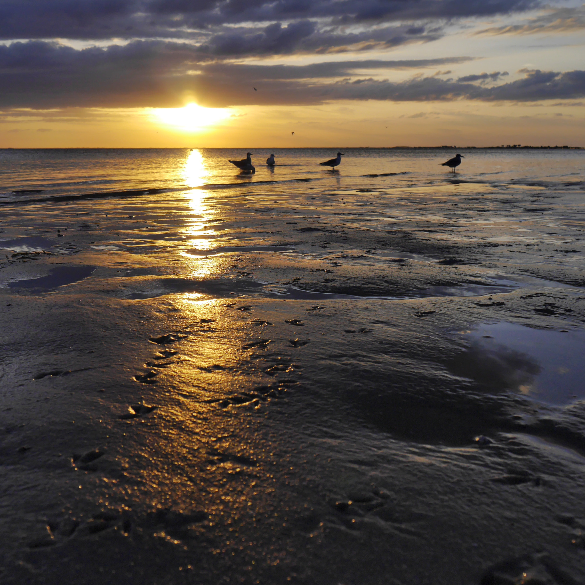 Panasonic Lumix DMC-GF6 sample photo. Sunset beach photography