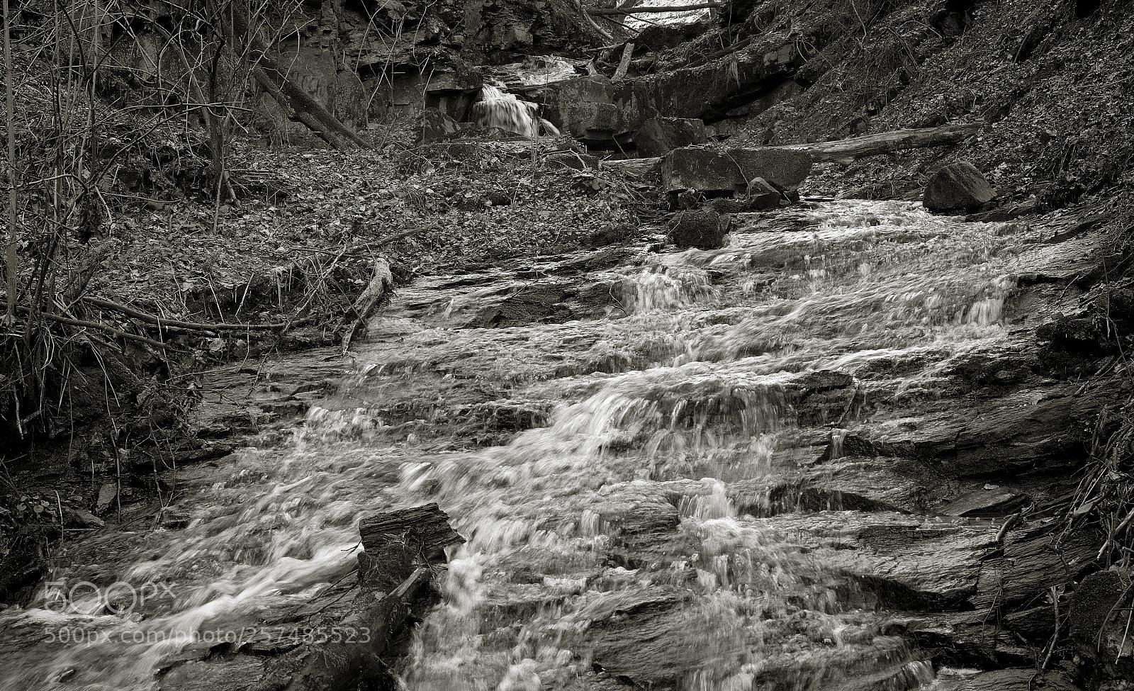 Nikon D7100 sample photo. Spring flow photography