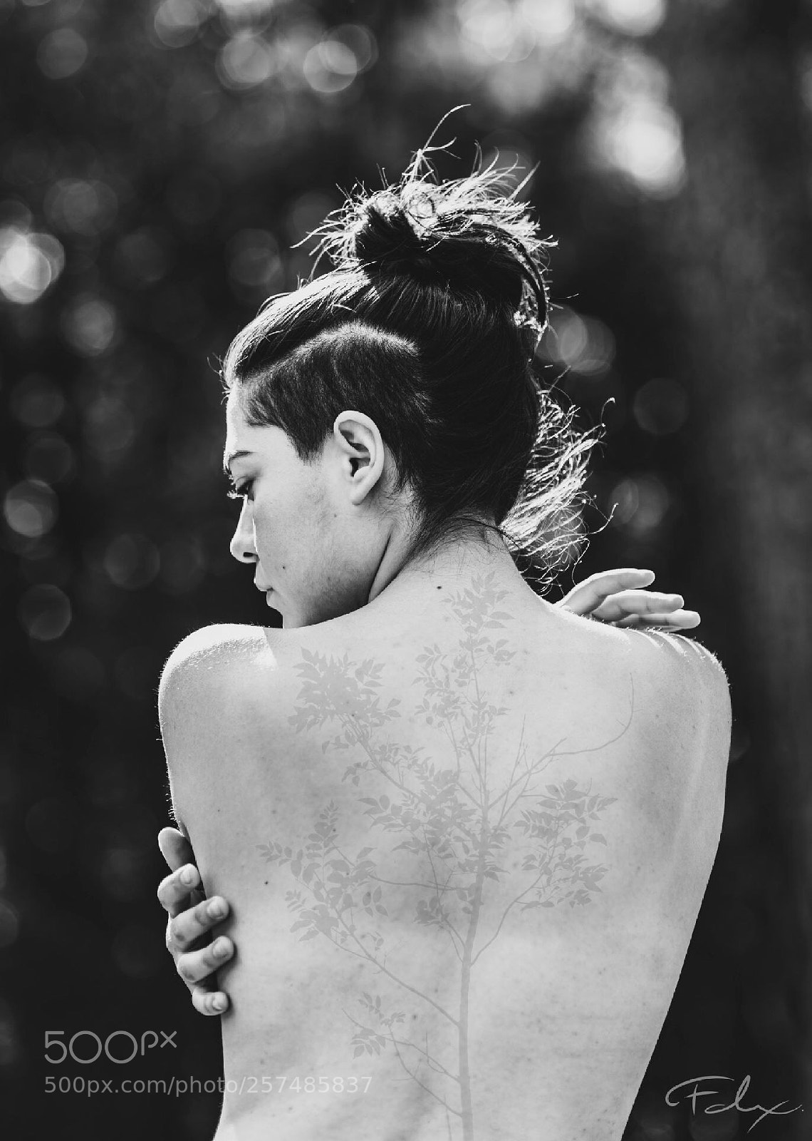 Nikon D750 sample photo. Backbone tree photography