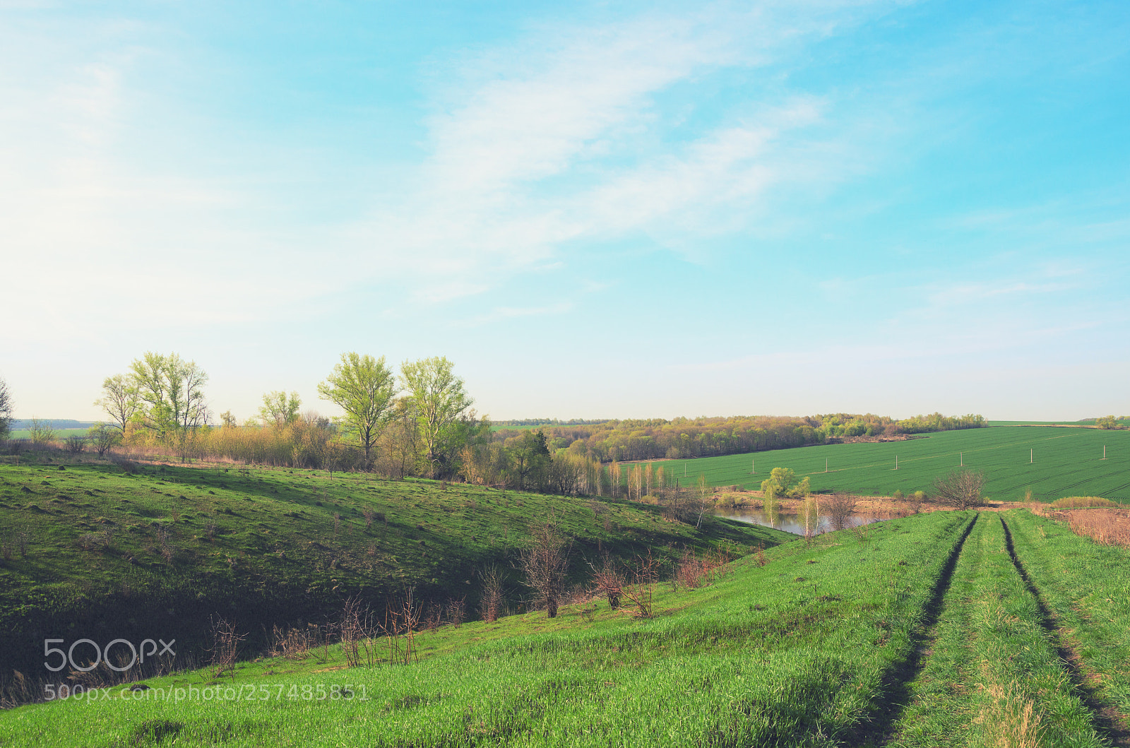 Nikon D5100 sample photo. Country road photography