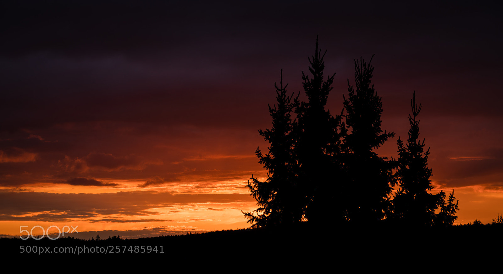 Sony a7R II sample photo. Burning sky photography
