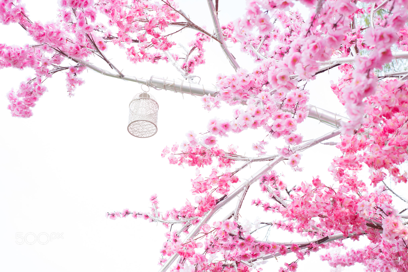 Nikon D610 sample photo. Sakura photography