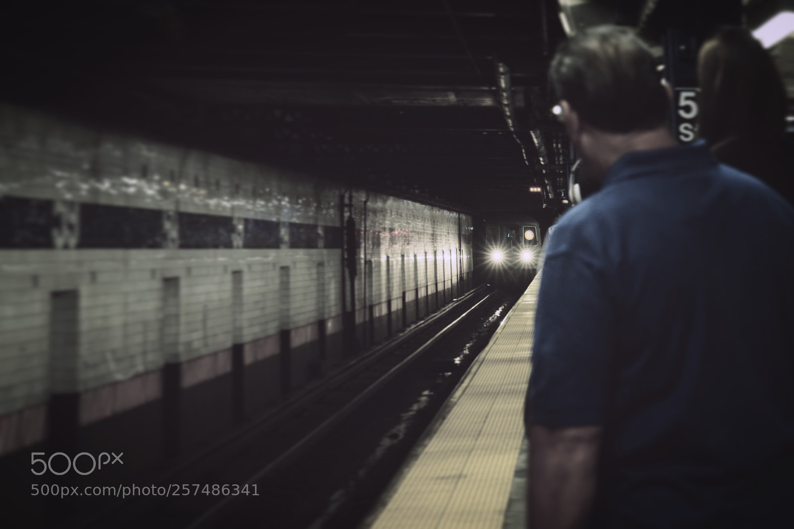 Sony a7R II sample photo. Waiting for photography
