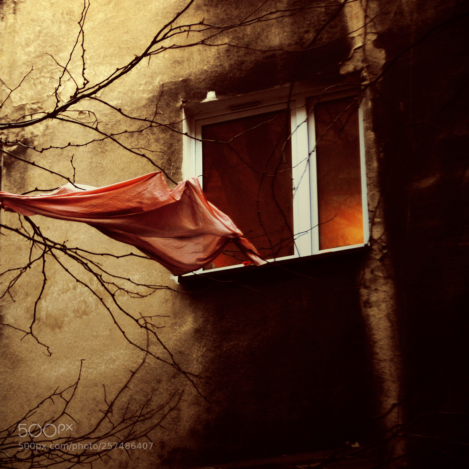 Nikon D300S sample photo. Untitled photography