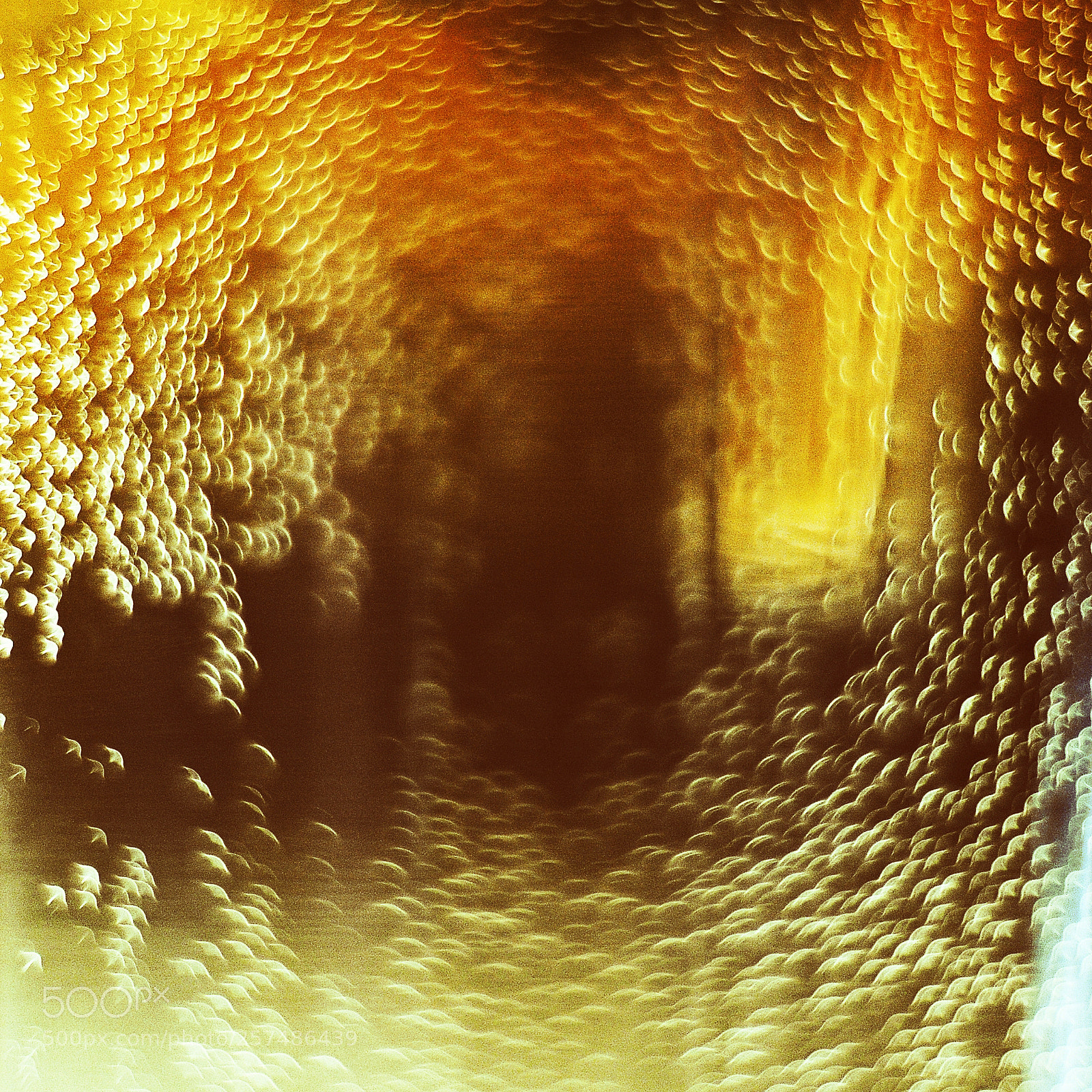Nikon D300S sample photo. Untitled photography