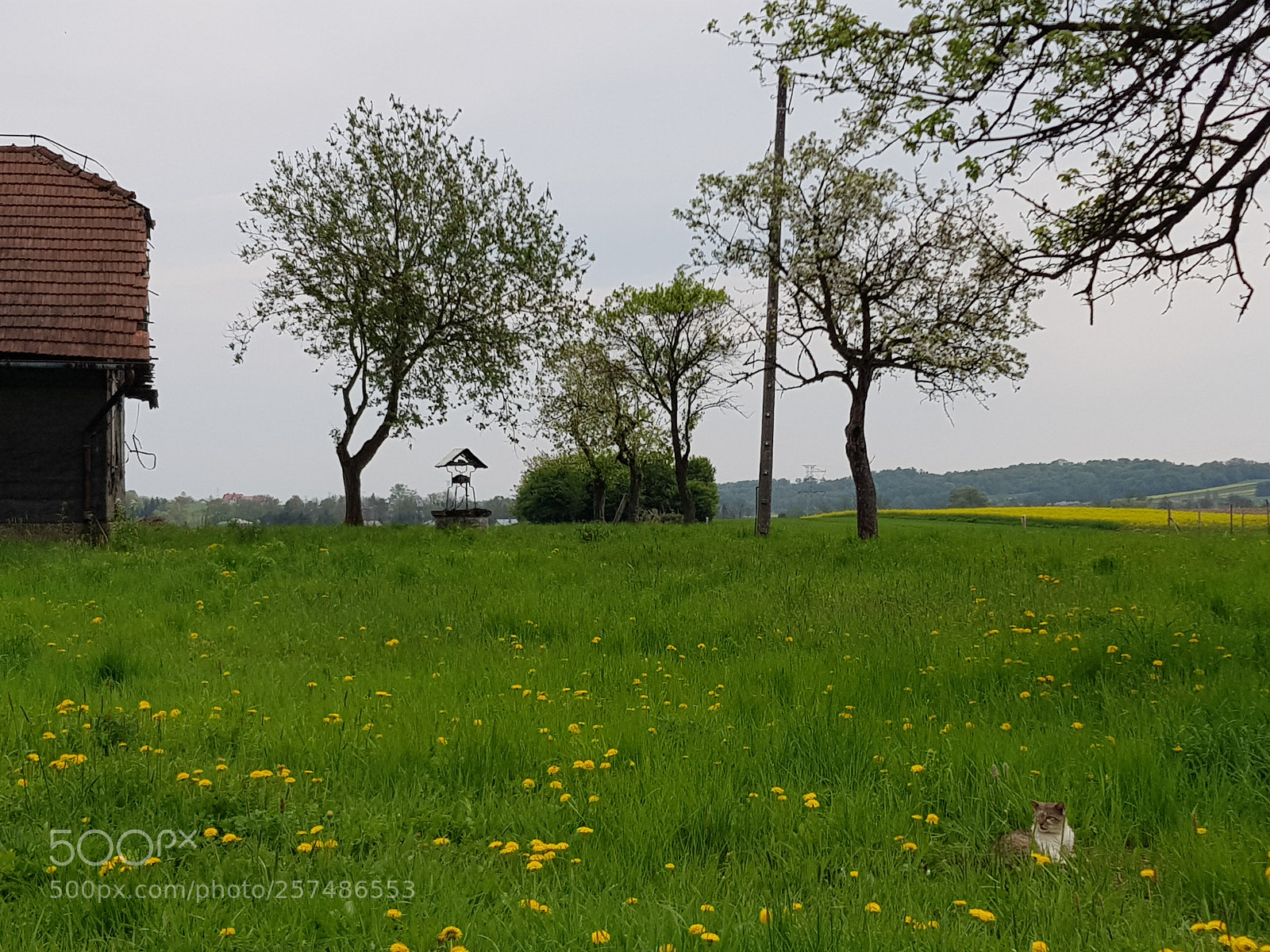 Samsung Galaxy S8 sample photo. Old place photography