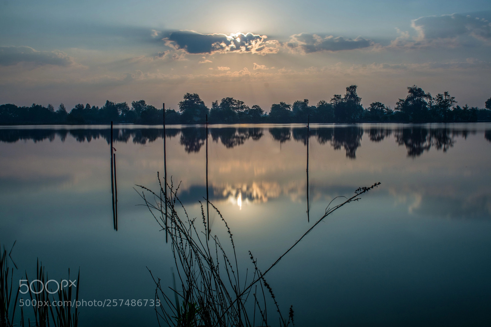 Nikon D7100 sample photo. Early morning photography