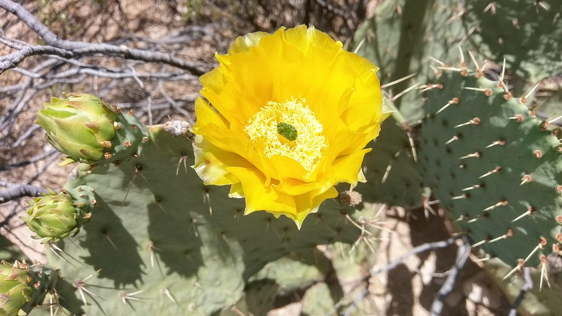 HTC 10 sample photo