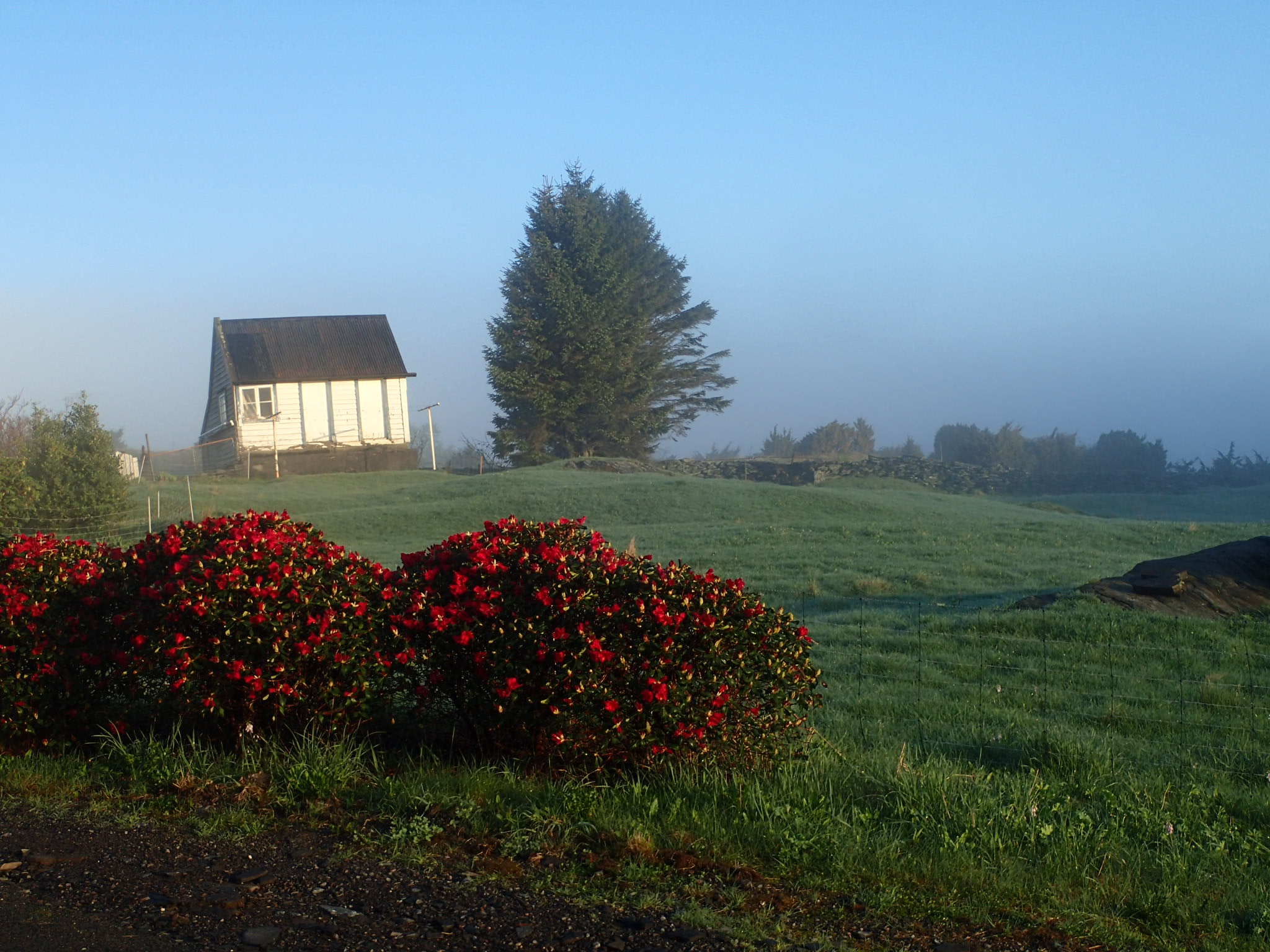 Olympus TG-4 sample photo. Sunrise photography