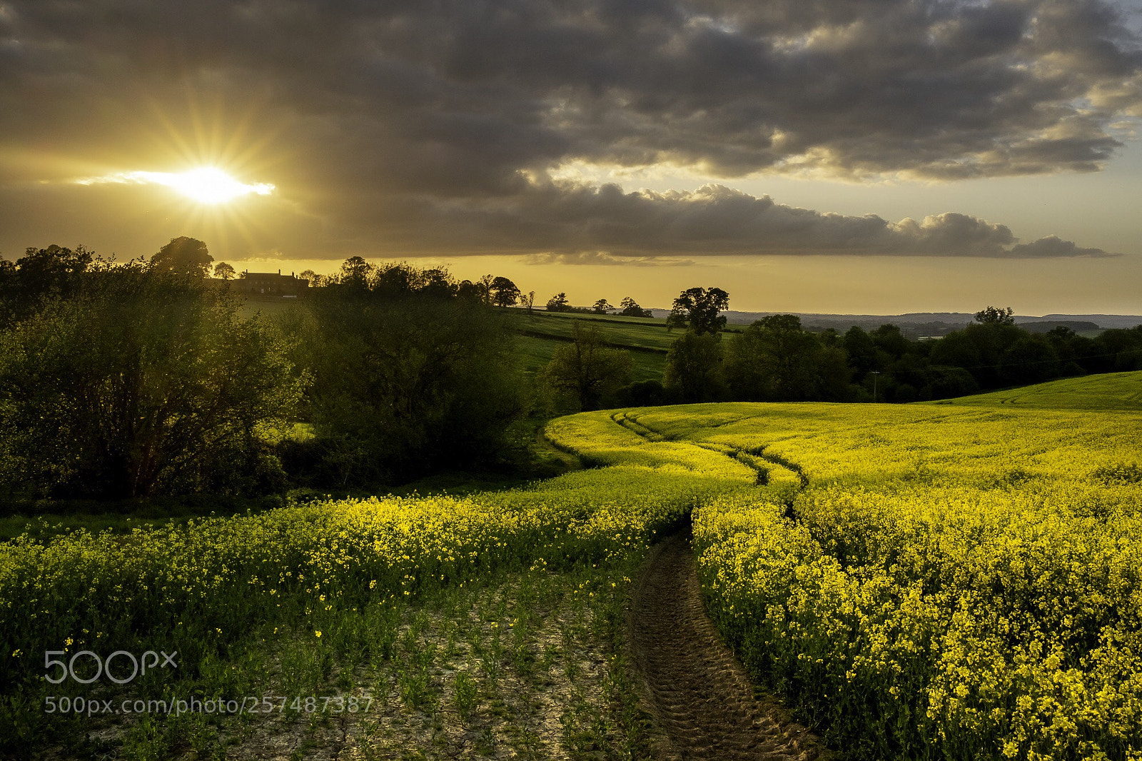 Fujifilm X-H1 sample photo. Golden sunset photography