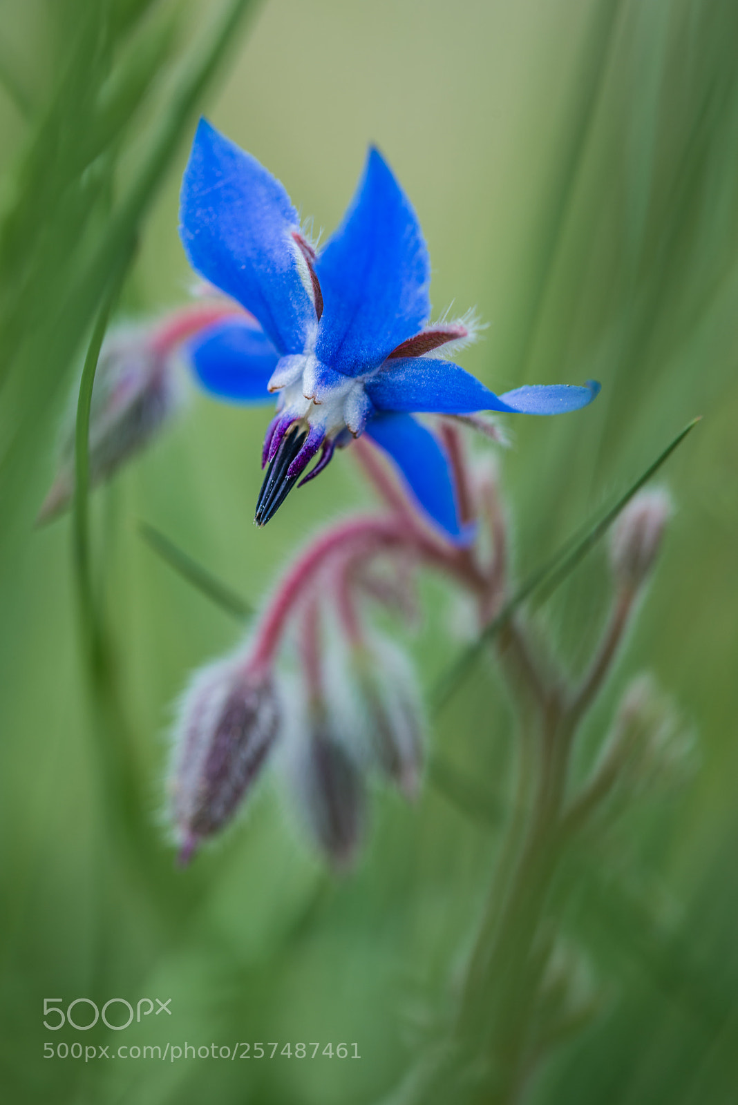 Nikon D800 sample photo. Beauty of nature photography