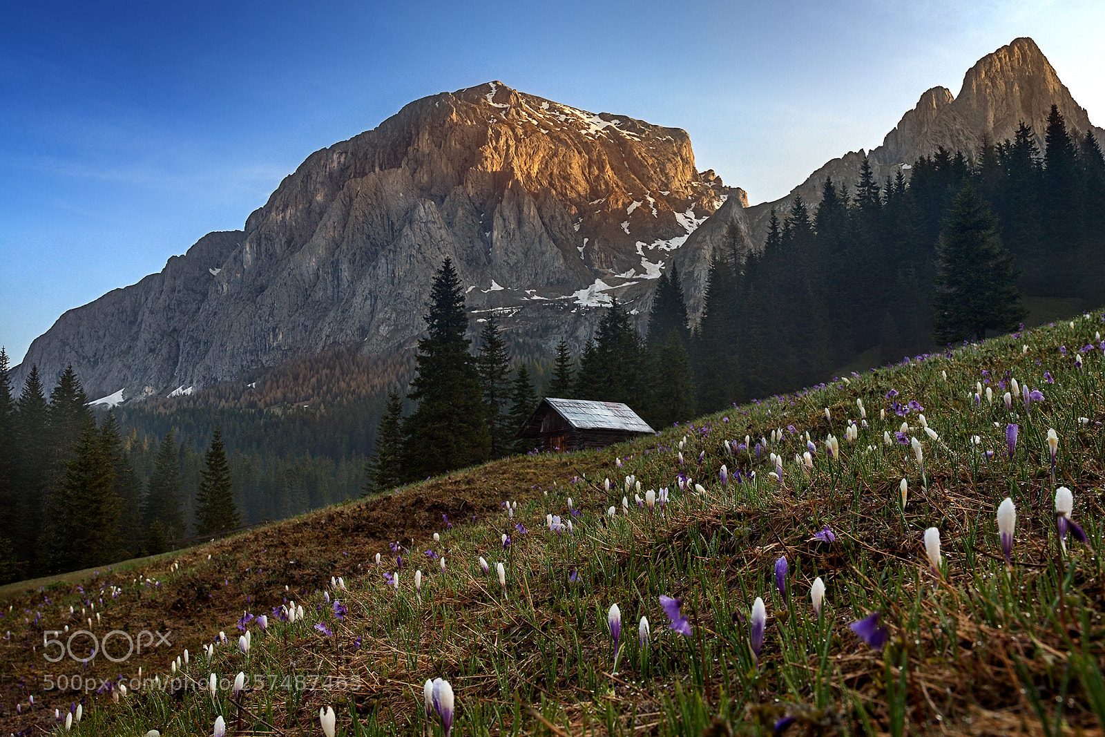 Canon EOS 50D sample photo. Fioritura in val sesis photography