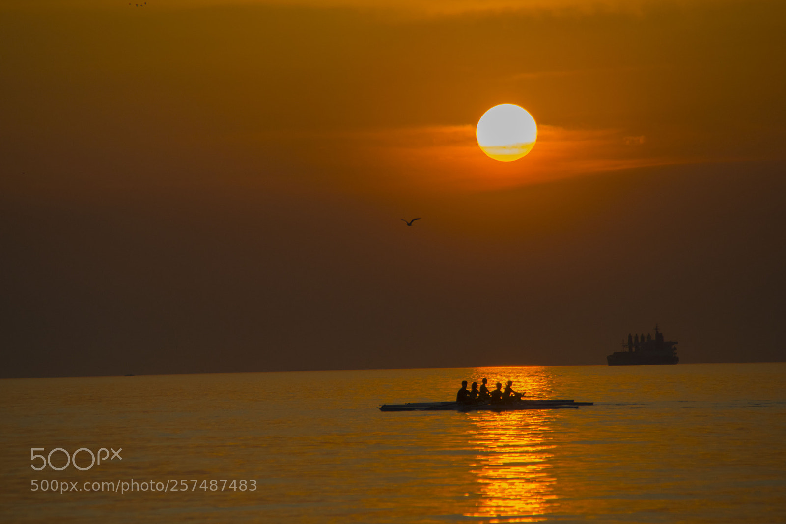 Nikon D3300 sample photo. Bye bye sun photography